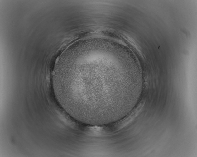 X0000113960265200909251407