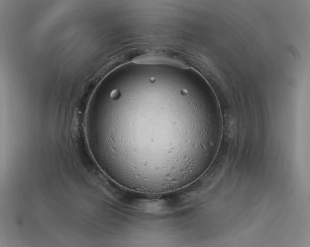 X0000113960266200909251407