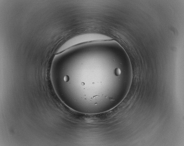 X0000113960268200909251407