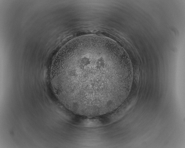 X0000113960270200909251407