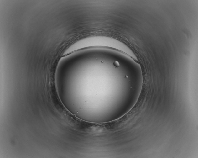 X0000113960272200909251407