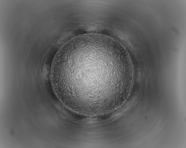 X0000113960273200909251407