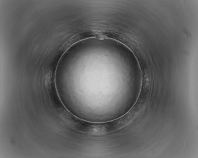 X0000113960275200909251407