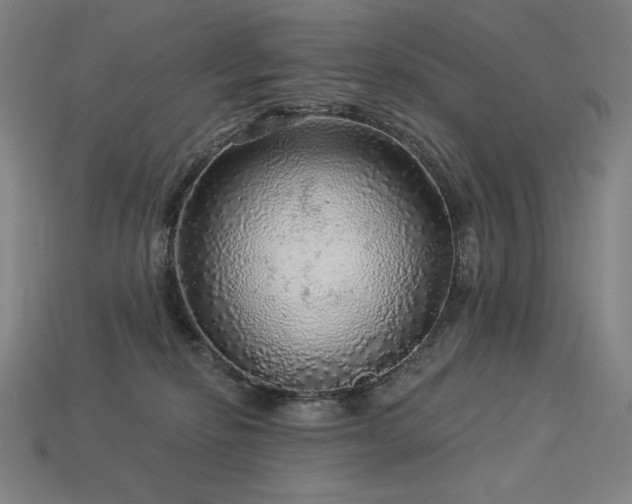 X0000113960278200909251407