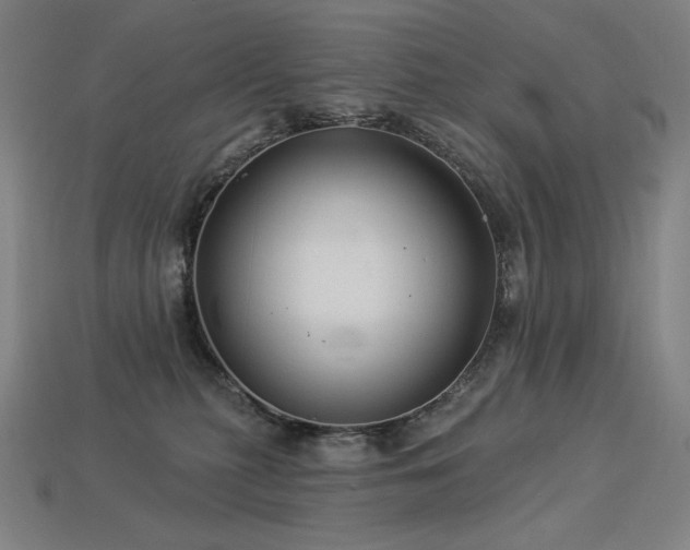 X0000113960279200909251407