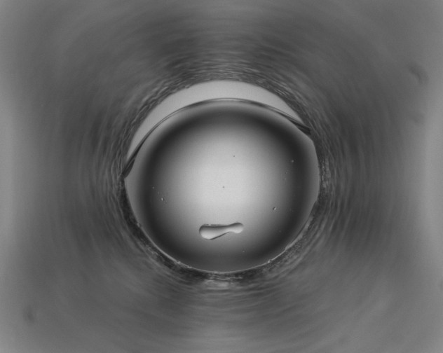 X0000113960280200909251407