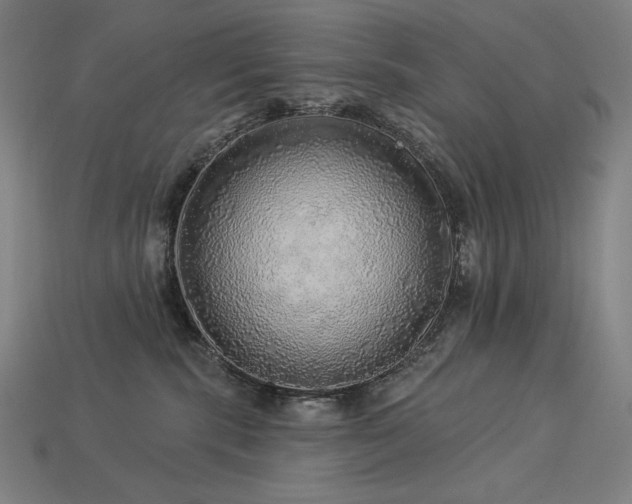 X0000113960283200909251407