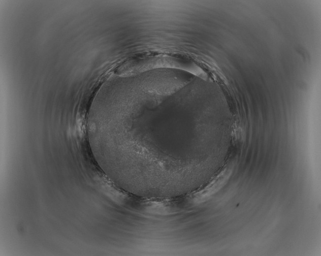 X0000113960285200909251407