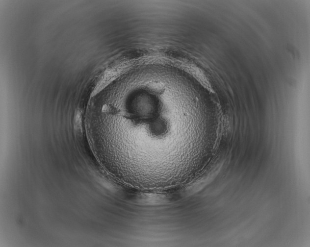 X0000113960286200909251407