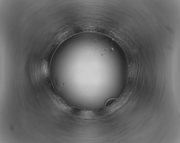 X0000113960287200909251407