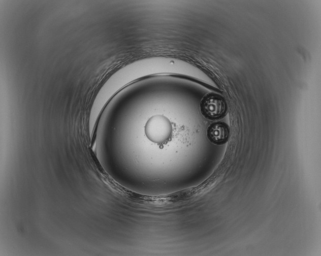 X0000113960288200909251407