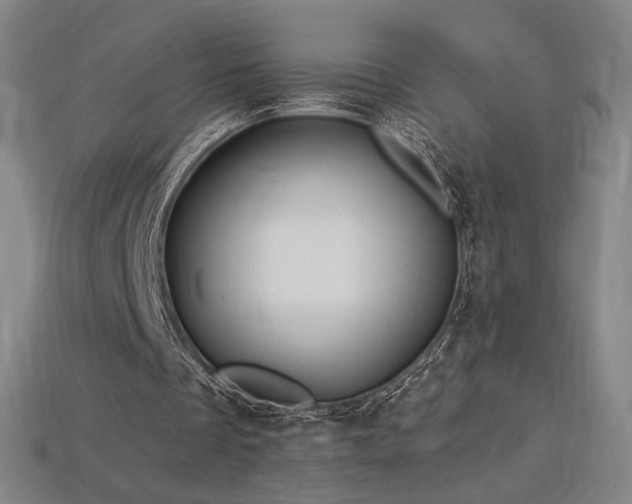 X0000113960289200909251406