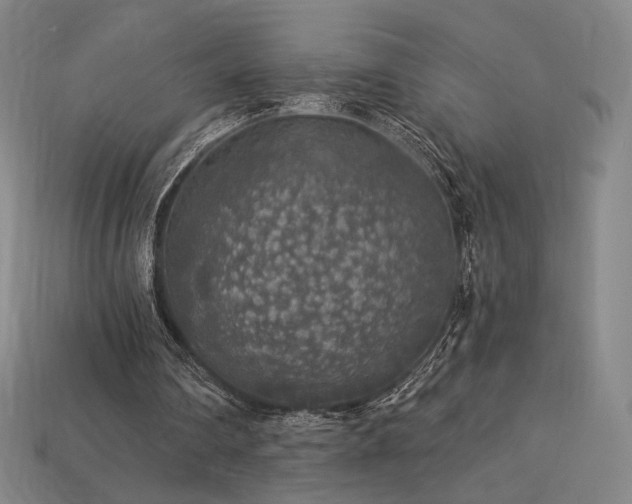 X0000113960290200909251406