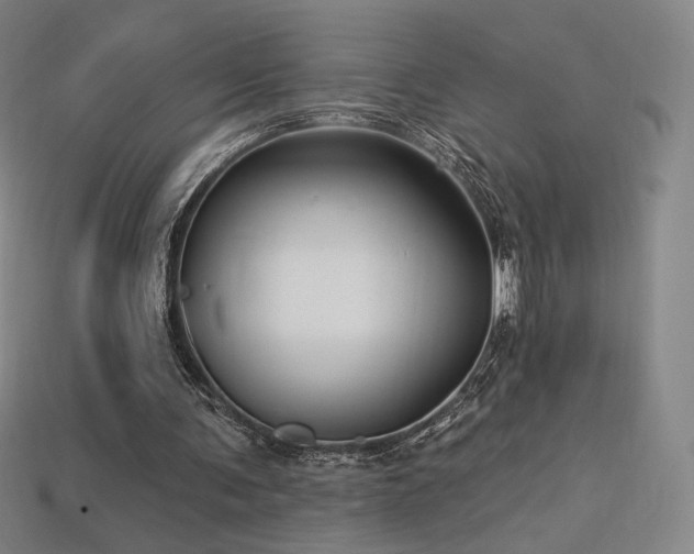 X0000113960291200909251406