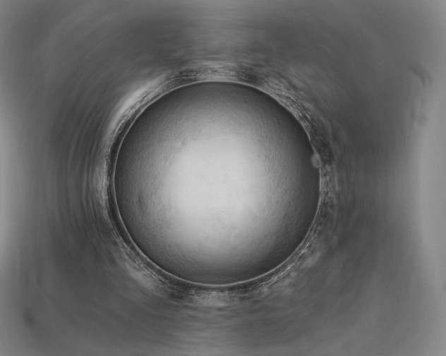 X0000113960293200909251406