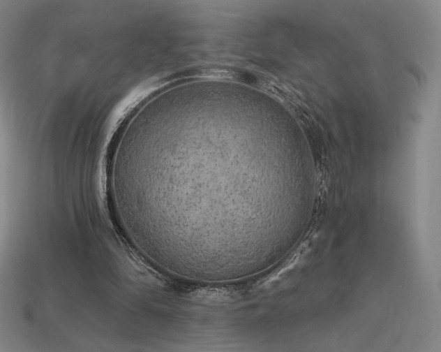 X0000113960294200909251406