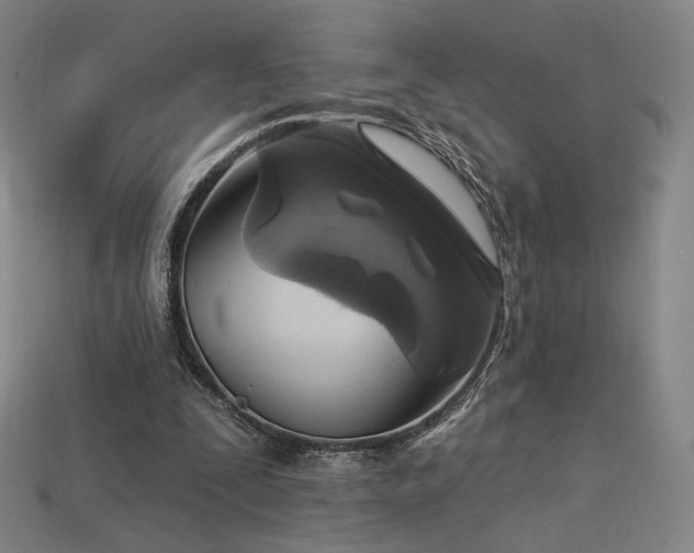 X0000113960295200909251406