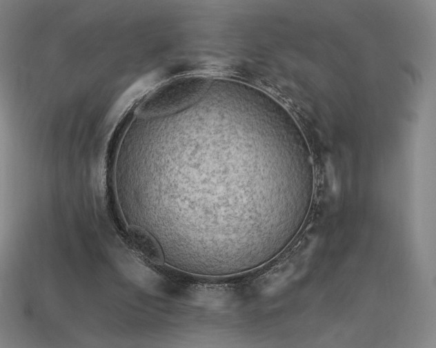 X0000113960296200909251406