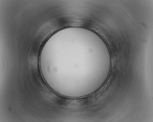 X0000113960297200909251406