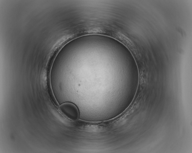 X0000113960298200909251406