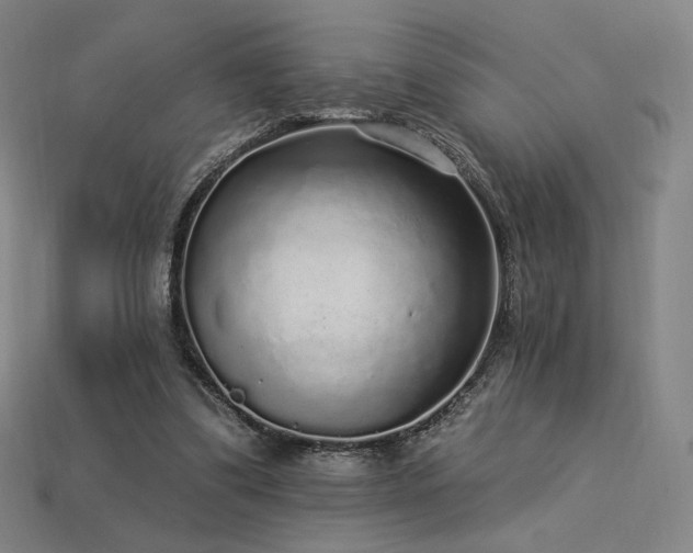 X0000113960299200909251406