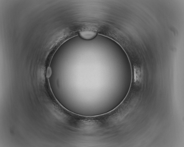 X0000113960300200909251406