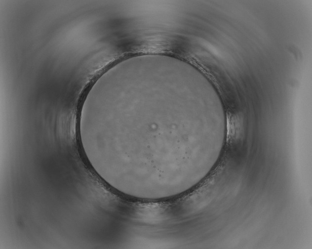 X0000113960301200909251406