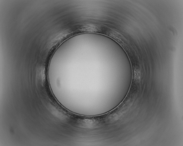 X0000113960302200909251406