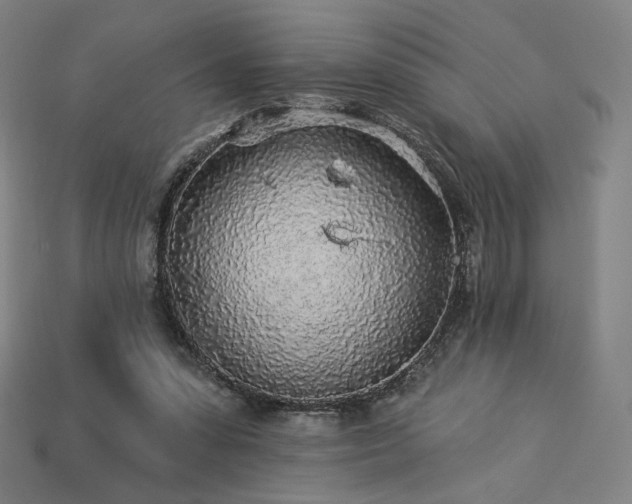 X0000113960303200909251406