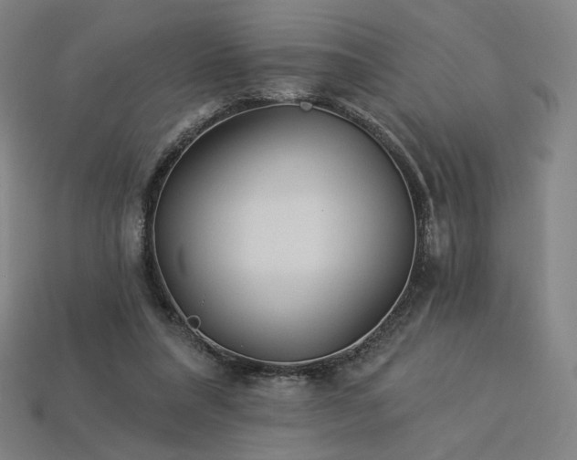 X0000113960304200909251406