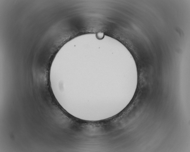 X0000113960305200909251406