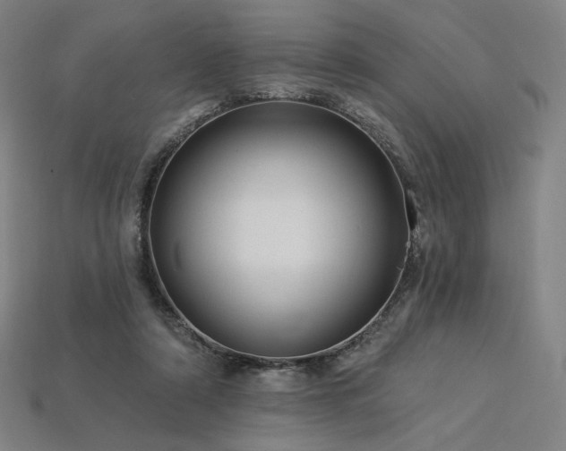 X0000113960306200909251406