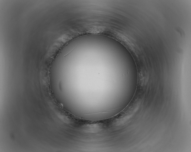 X0000113960307200909251406