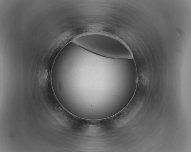 X0000113960308200909251406