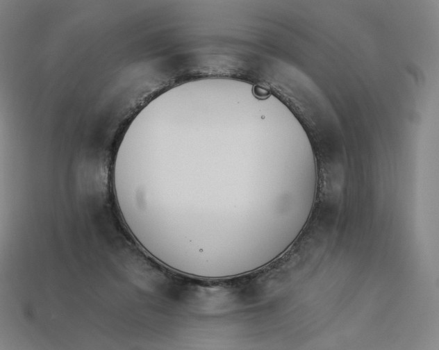 X0000113960309200909251406