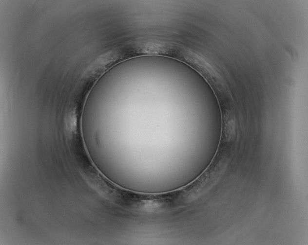 X0000113960310200909251406