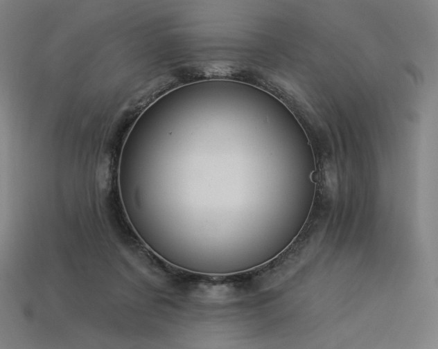 X0000113960311200909251406