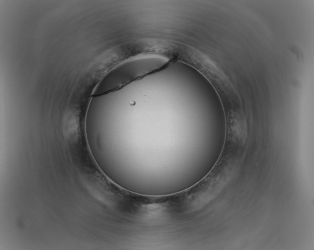 X0000113960312200909251406