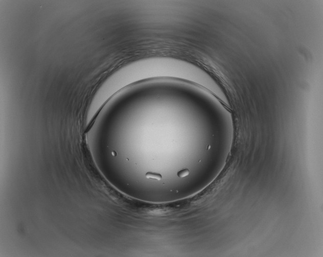 X0000113960313200909251406