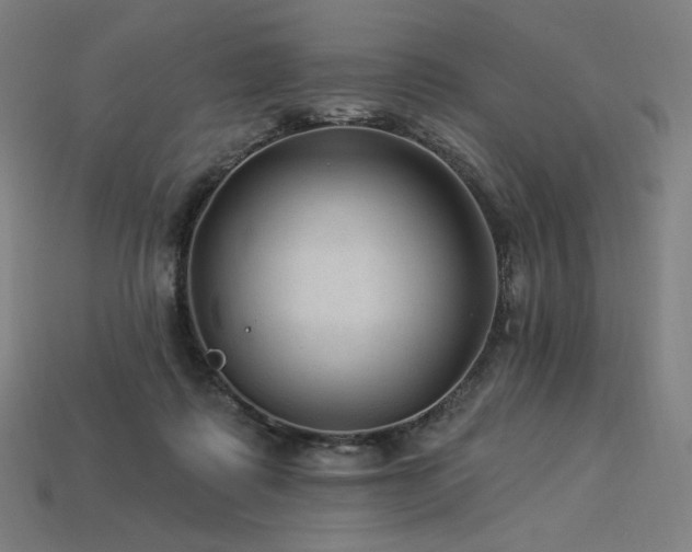 X0000113960315200909251406