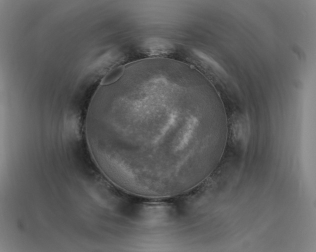 X0000113960316200909251406