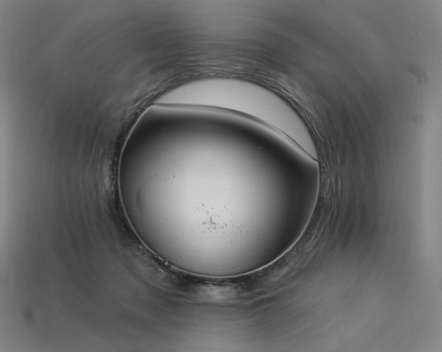 X0000113960317200909251406