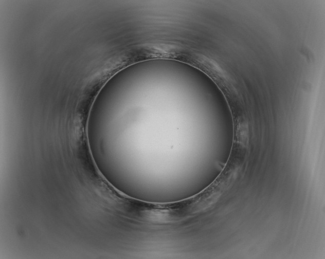 X0000113960318200909251406