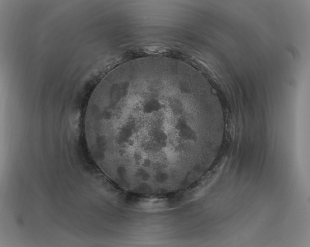 X0000113960319200909251406