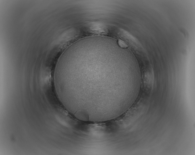 X0000113960320200909251406