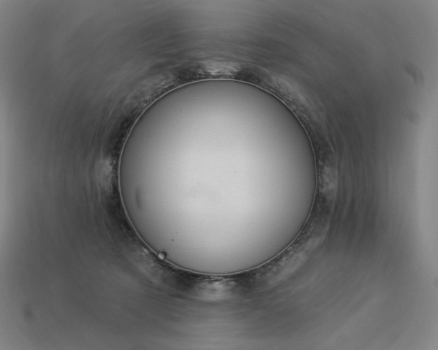 X0000113960321200909251406