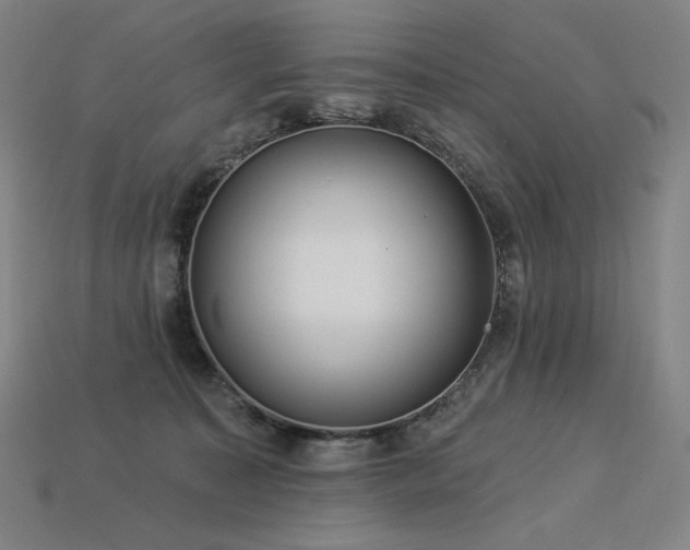 X0000113960323200909251406