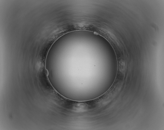 X0000113960324200909251406