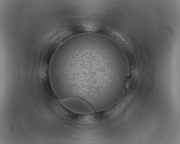 X0000113960325200909251406