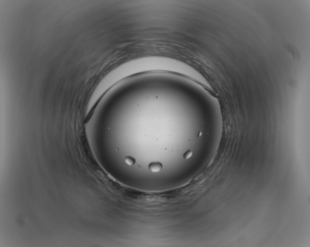 X0000113960327200909251406